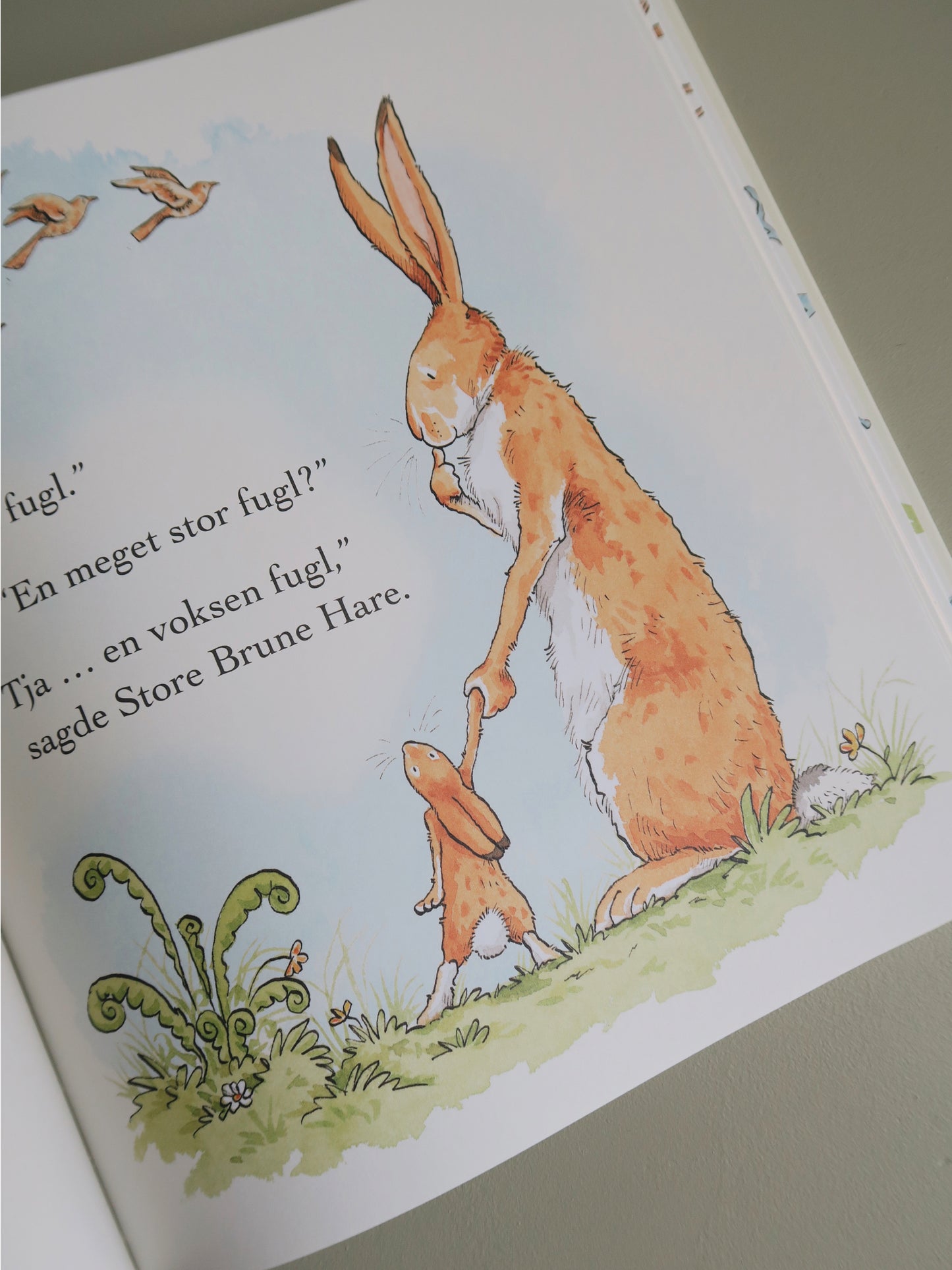 Hvor højt tror du jeg elsker dig?
