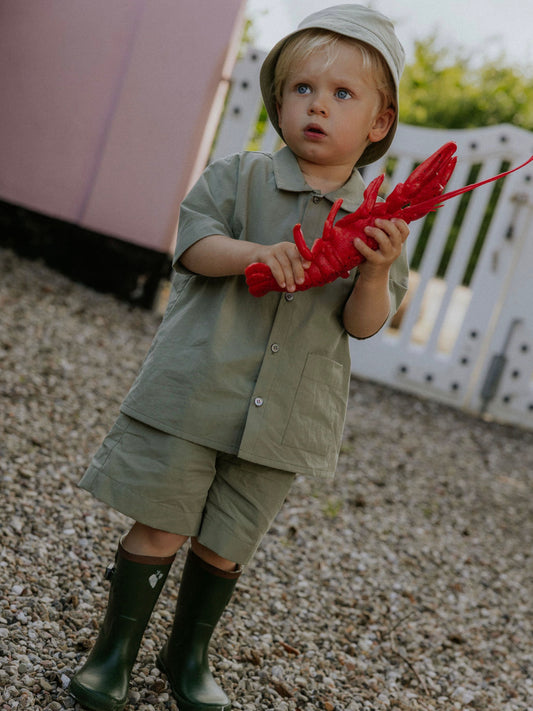 Lalaby - Wilder shorts - Turtle