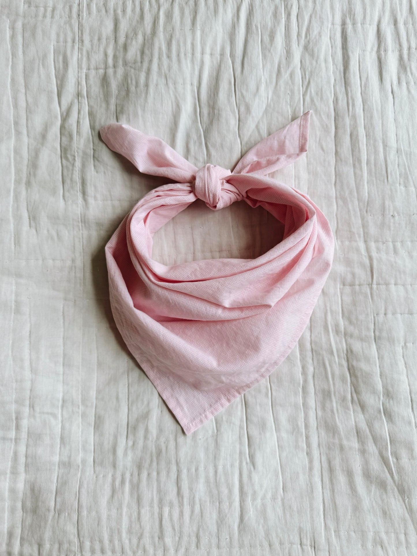 Lalaby Eddie scarf - Beige gingham