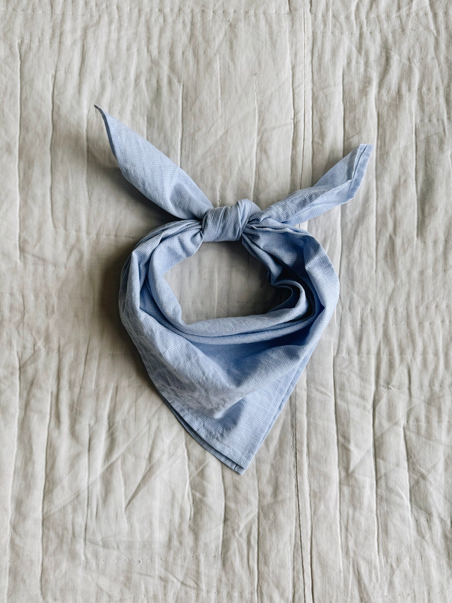 Lalaby Eddie scarf - Beige gingham