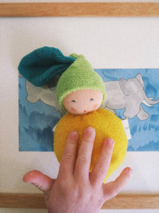 Nanchen - Dukke - Citron