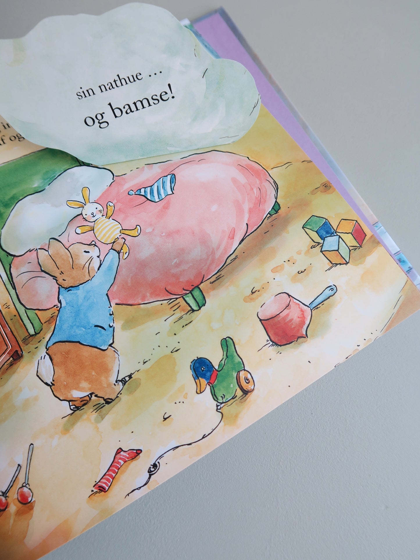 Peter Kanin - Bamsejagten