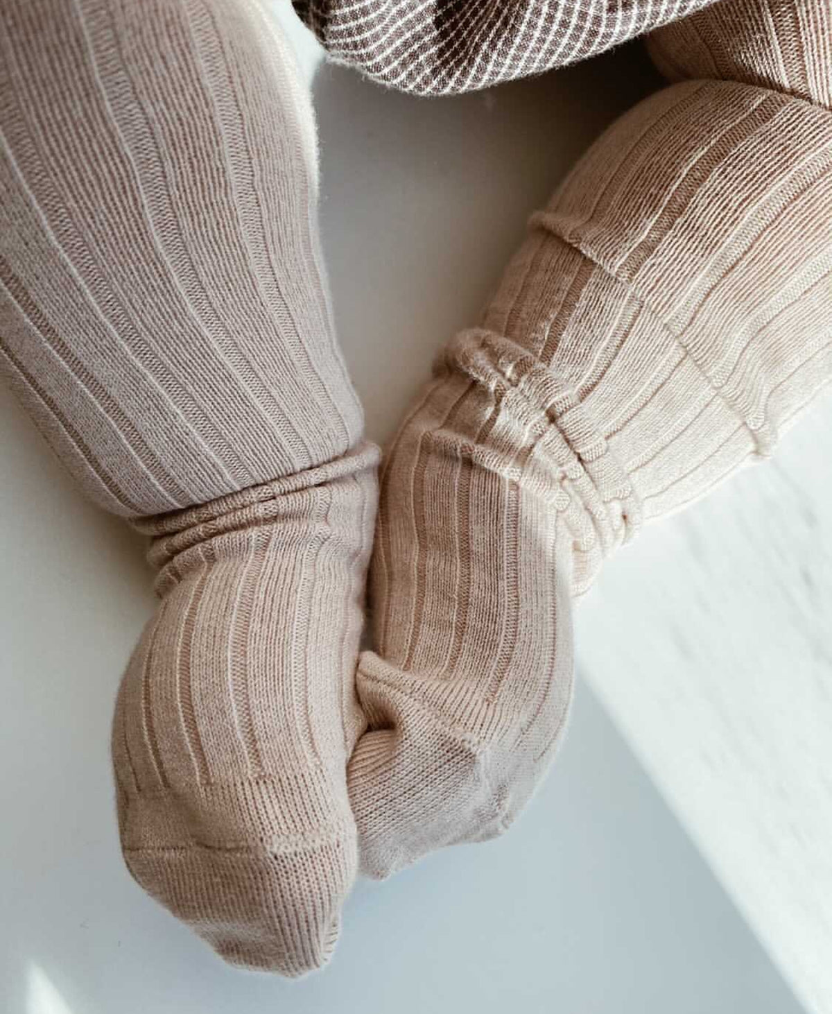 Cóndor - Cotton rib tights - 356 / Brown Melange