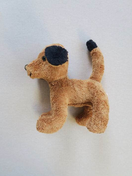 Kallisto - Teddy - Dog