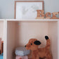 Kallisto - Bamse - Hund