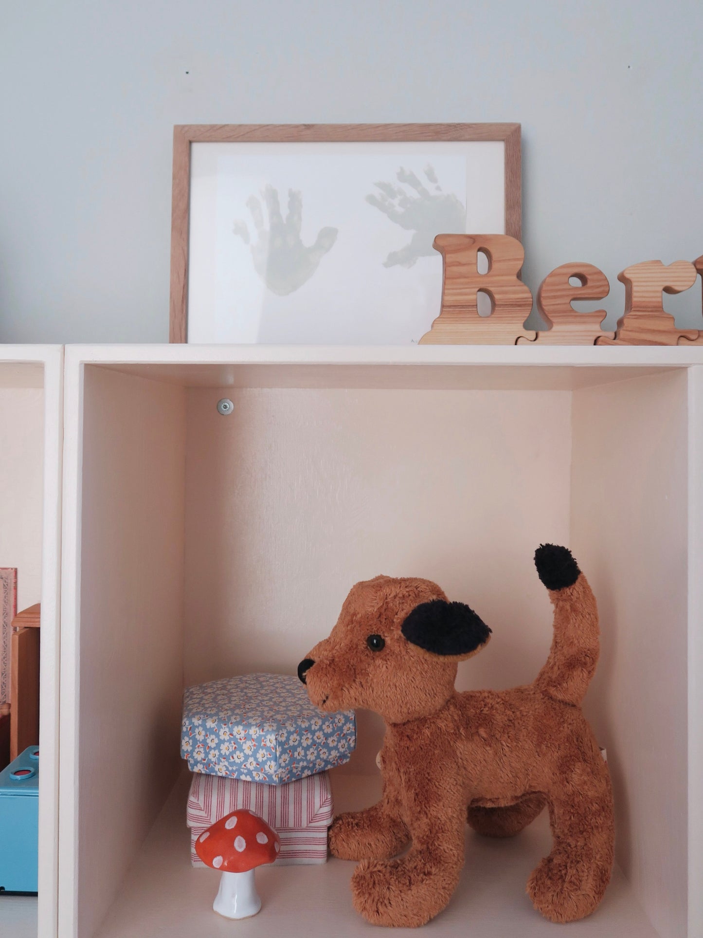 Kallisto - Teddy - Dog